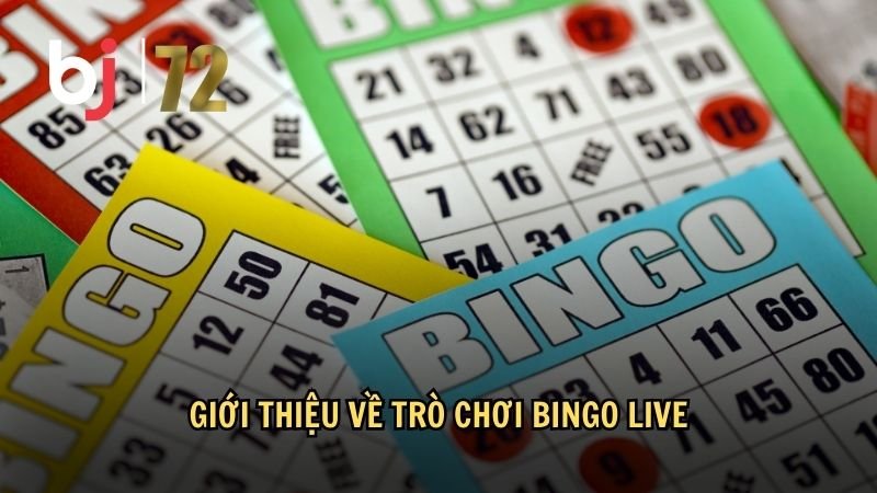 Giới thiệu về trò chơi Bingo Live